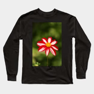 Red and white dahlia Long Sleeve T-Shirt